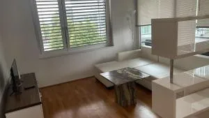 Linz Donau Ufer Stadt Mitte - Eidenberg