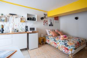 Appartements SUPERLOGIS BLOIS-HYPERCENTRE LE PITAYA-STUDIO☆☆☆ : photos des chambres