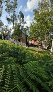 Divčibarka - Osečenica