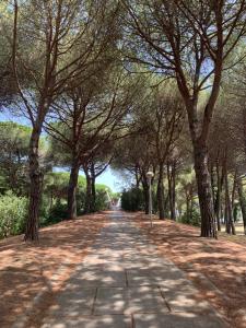 Studio - 2 double lits, clim, au calm, près du lac, golf