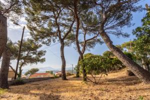 Maisons de vacances Breathtaking view house with large garden - Dodo et Tartine : photos des chambres