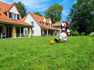 Maisons de vacances Dormio Resort Berck-sur-Mer : photos des chambres