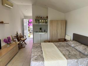 Studio apartment SOL