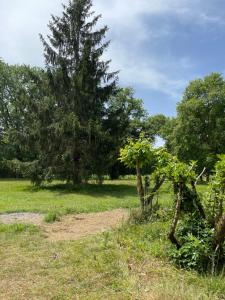 Maisons de vacances Gite au Domaine des charmes : photos des chambres