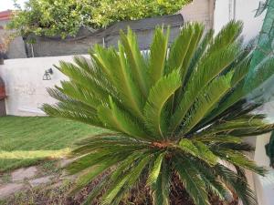 Pula Brown Experience South Sardinia img21