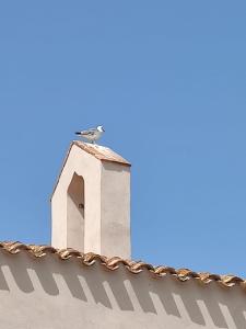 Pula Brown Experience South Sardinia img36