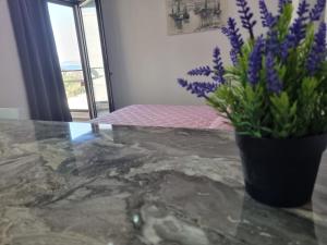 Garden Sea View Studio