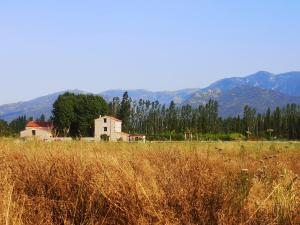 Maisons de vacances Mas Puig Grand Gite : photos des chambres