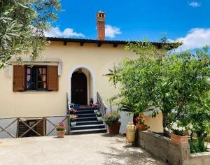 Marysa's house - Torca