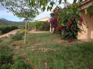 Appartements Residence Cucunacciu : photos des chambres