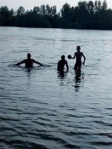 Vikendica DRINSKI DAR