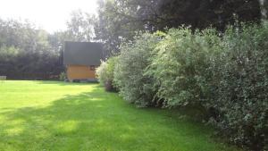 Chaty u rybníka Brodský