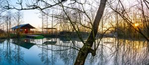 Arcadia Safari Tent in private 5 acre field