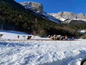 Maisons de vacances Tres Grand Gite equipe a la montagne : photos des chambres