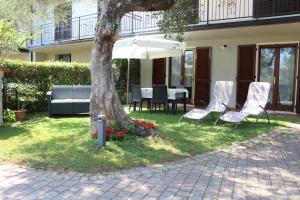 Relax in the Olive Grove