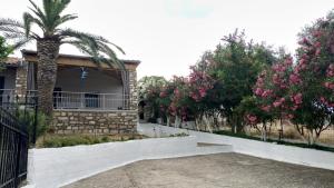 Palm Villa
