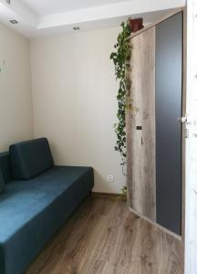 Apartament DINO