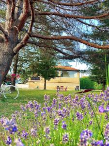 Villas Villa Domelia : photos des chambres