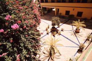 Reposo Sweet Home & Free Parking