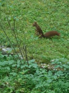 Sejours chez l'habitant Villa Serenite : photos des chambres