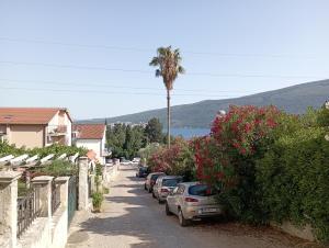 Gornje Vodice Studio
