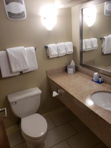 Holiday Inn Express Hotel Pittsburgh-NorthHarmarville by IHG