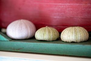 I Lecci 3 - Klodge img20