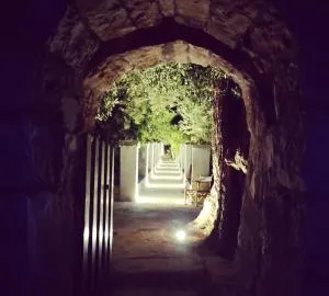 Masseria Calò - Impalata