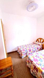 Bonanza - 40 metros de la playa!