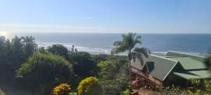 Forest Homes 15 - Portobello