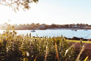 Majestic Oasis Apartments