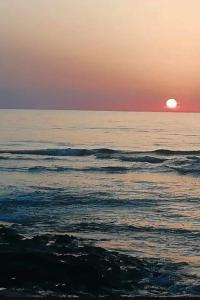 B&B Stella Maris img25