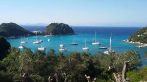 Dimitris Seaview Studio - Lakka Paxos