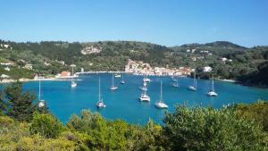 Dimitris Seaview Studio - Lakka Paxos