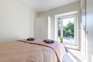 Apartamentai su terasa