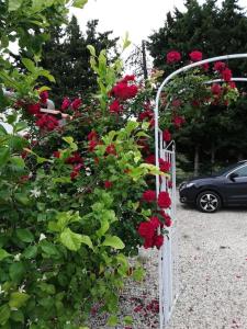 Maisons de vacances Gite Soleil Pugetvilla : photos des chambres