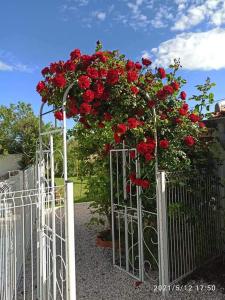 Maisons de vacances Gite Soleil Pugetvilla : photos des chambres