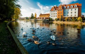 Hotel Nad Pisą