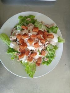 O novo alto do couso