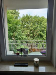 Apartament STUDIO