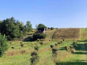 Maisons de vacances Tiny House La Petite Garenne : photos des chambres