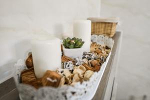 Apartamenty Zator