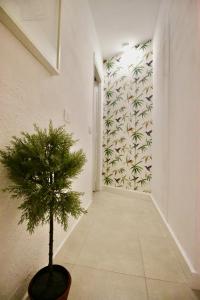 Sweet Home Apartaments