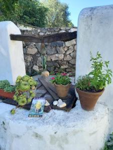 Hostal Antigua Casa Criolla