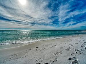 Salty Dolphin - Gulf Front Oasis