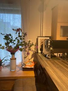 Manurêva - Chambre dhôte en coeur de ville