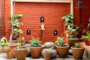 Hotel Dreams connect GRB