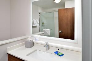 Standard Room room in Holiday Inn Express Orlando - South Park an IHG Hotel