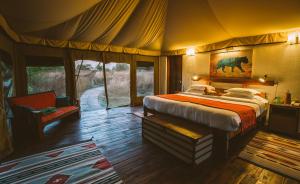 Jamtara Wilderness Camp - Pench National Park