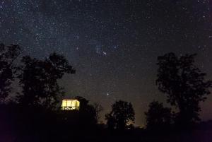 Jamtara Wilderness Camp - Pench National Park